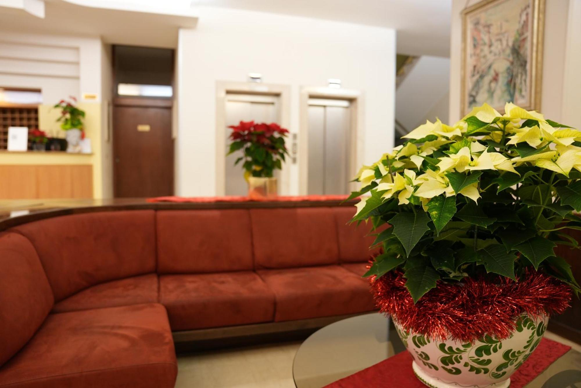Hotel Albatros 4*